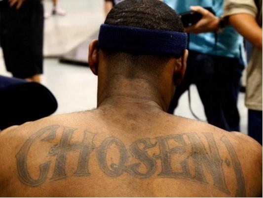 詹姆斯贡献 詹姆斯贡献